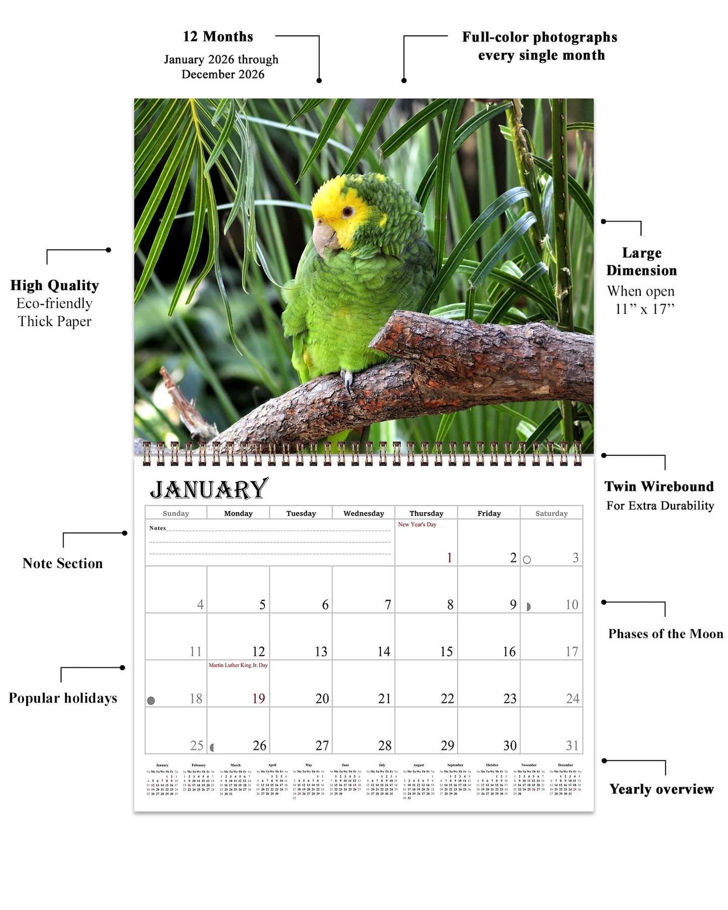 2026 Spiral-bound Wall Calendar (Exotic Birds) - 12 Months Desktop/Wall Calendar/Planner
