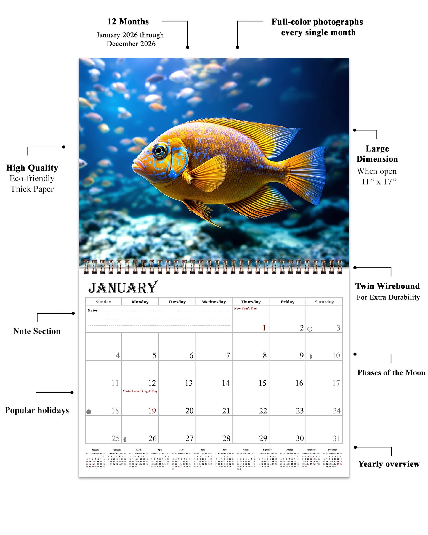 2026 Spiral-bound Wall Calendar (Tropical Fishes) - 12 Months Desktop/Wall Calendar/Planner