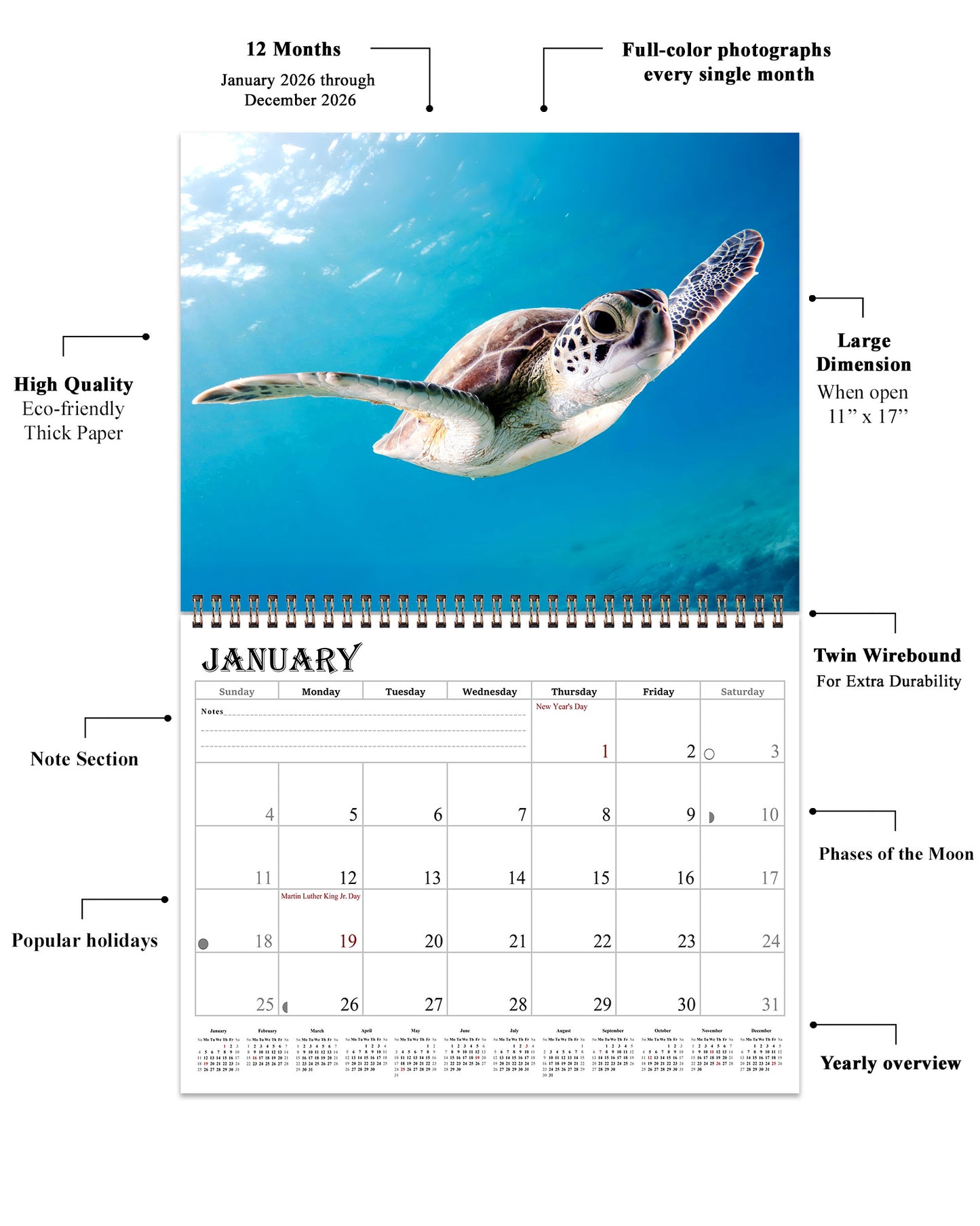 2026 Spiral-bound Wall Calendar (Sea Turtles) - 12 Months Desktop/Wall Calendar/Planner
