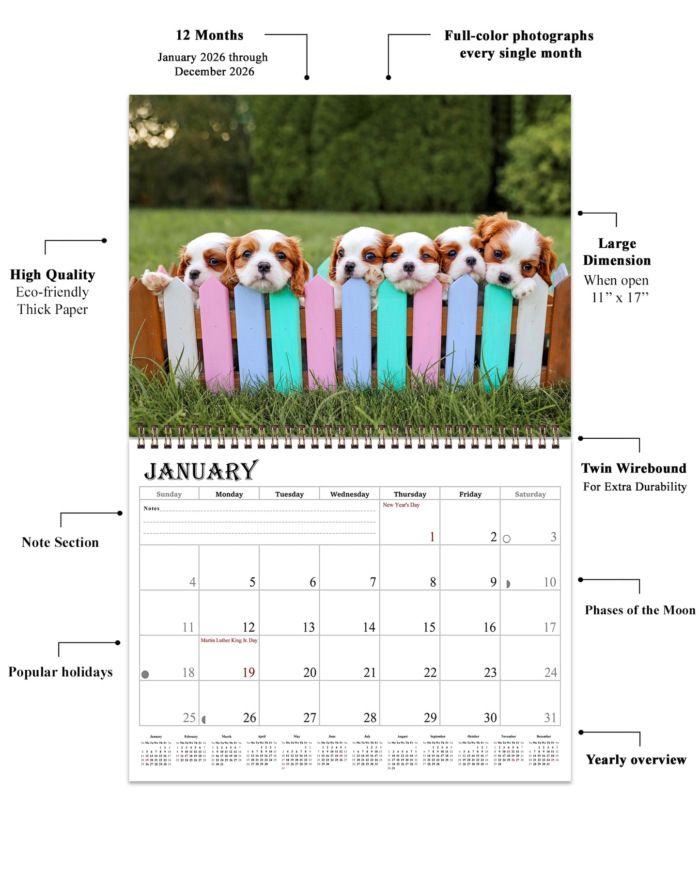 2026 Spiral-bound Wall Calendar (Puppies) - 12 Months Desktop/Wall Calendar/Planner