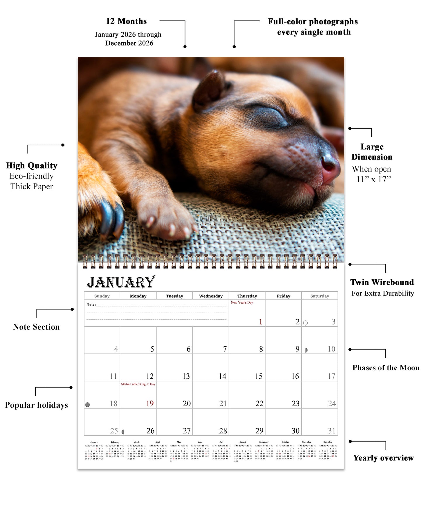 2026 Spiral-bound Wall Calendar (Dogs) - 12 Months Desktop/Wall Calendar/Planner