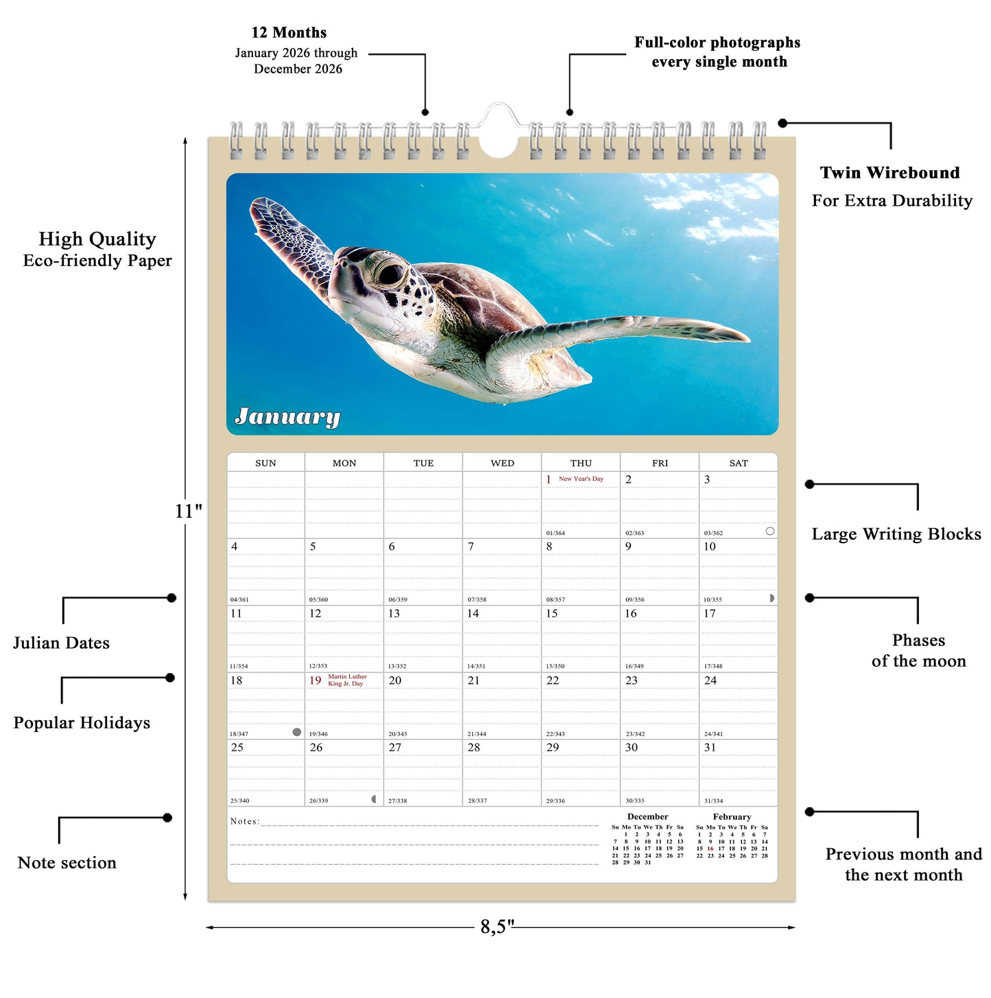 2026 Wall Calendar Spiral-bound Twin-Wire Binding - 12 Months Planner - Large Ruled Blocks with Julian Dates - (Turtles)