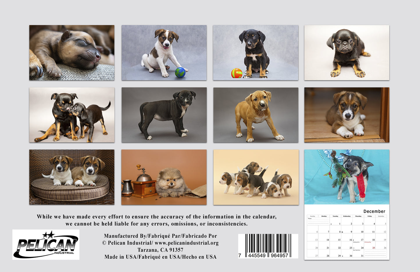2026 Spiral-bound Wall Calendar (Dogs) - 12 Months Desktop/Wall Calendar/Planner