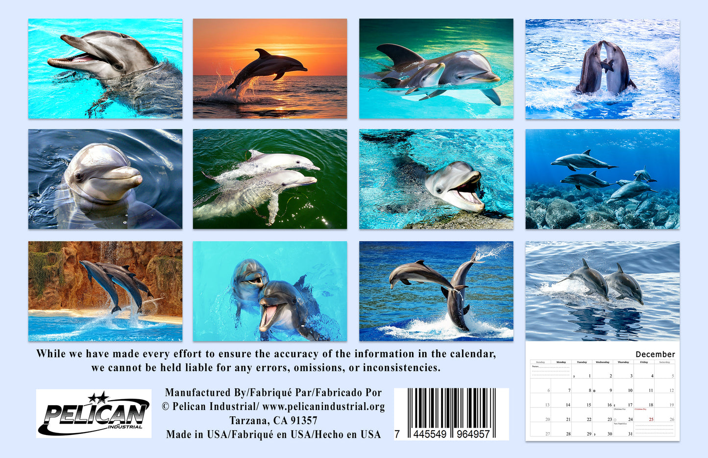 2026 Spiral-bound Wall Calendar (Dolphins) - 12 Months Desktop/Wall Calendar/Planner