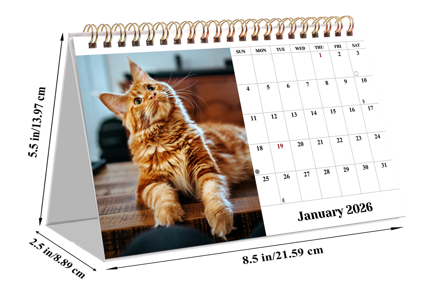 2026-12 Months Desk Calendar Desktop Planner with To-Do List (Cats)