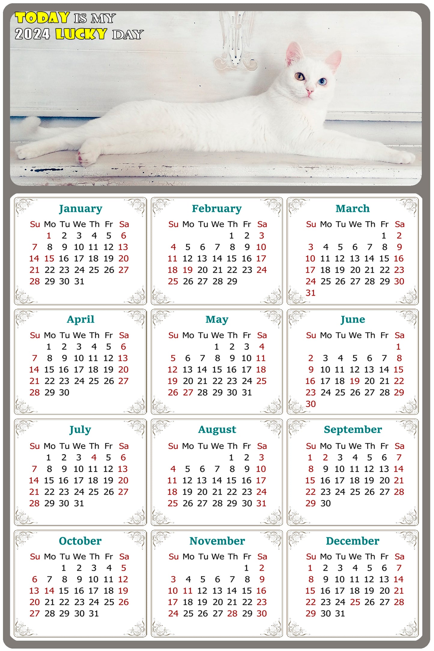 2024 Magnetic Calendar - Today is My Lucky Day (Fade, Tear, and Water Resistant)- Cat Themed 06