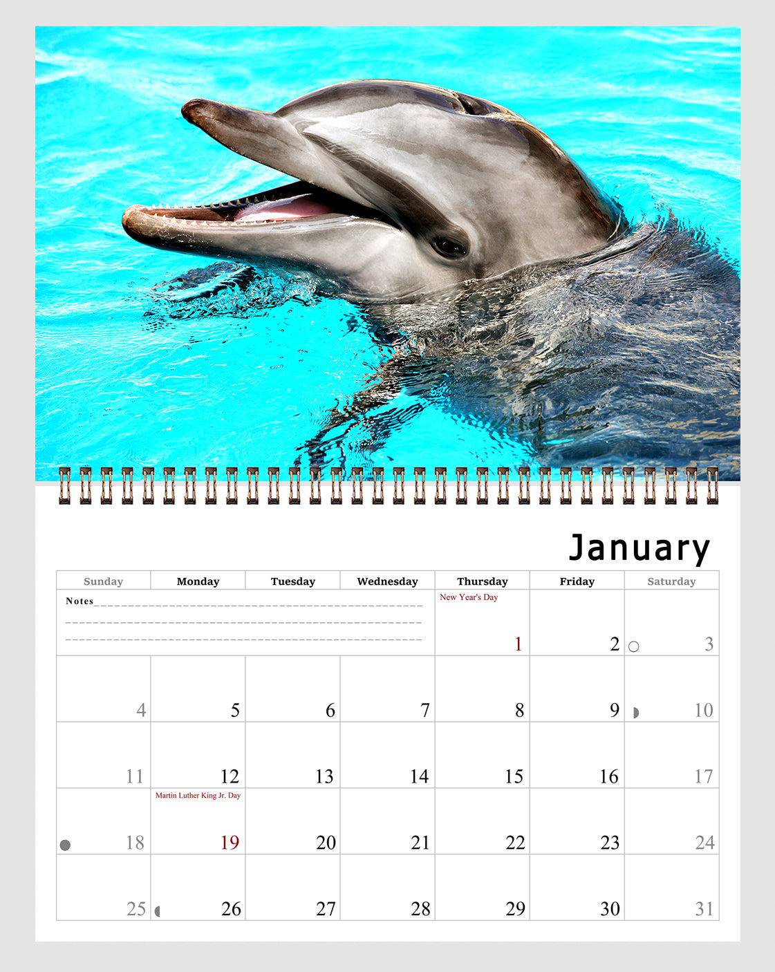 2026 Spiral-bound Wall Calendar (Dolphins) - 12 Months Desktop/Wall Calendar/Planner
