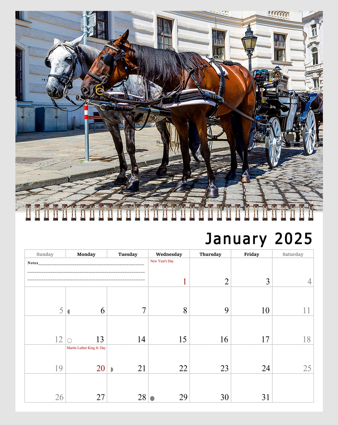 2025 Spiral-bound Wall Calendar (Horses) - 12 Months Desktop/Wall Calendar/Planner