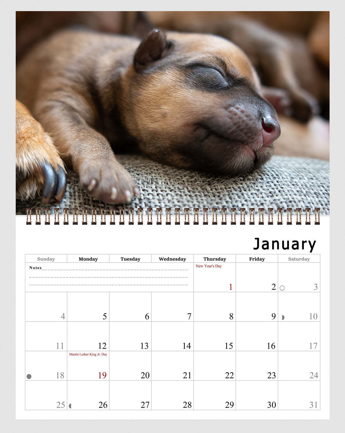 2026 Spiral-bound Wall Calendar (Dogs) - 12 Months Desktop/Wall Calendar/Planner