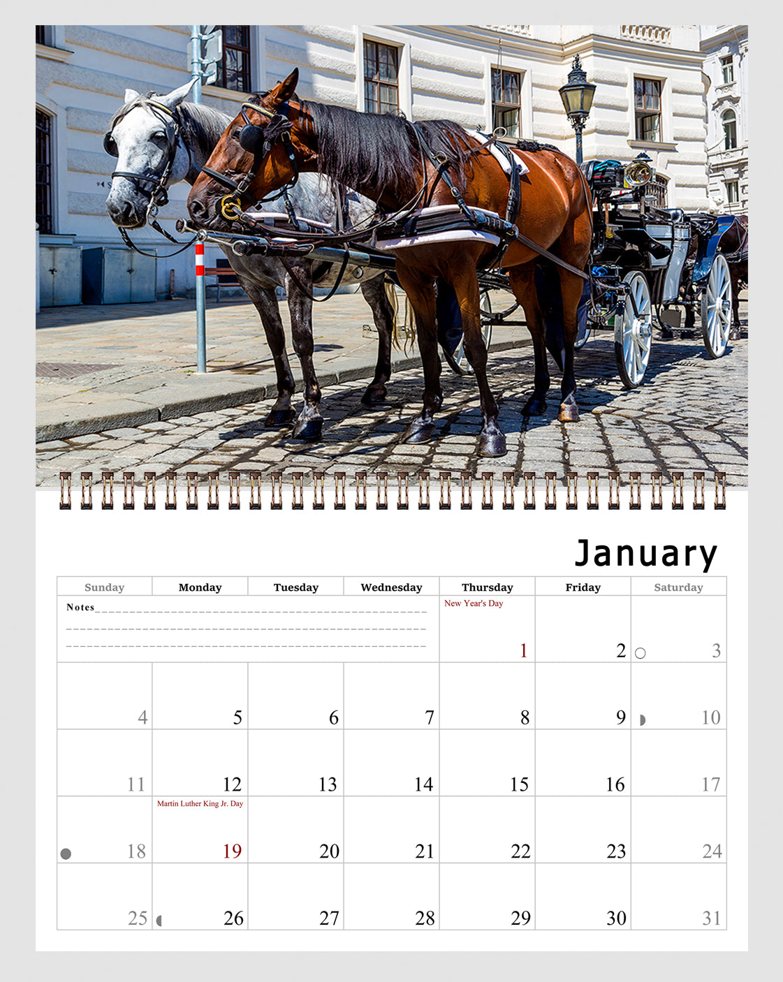 2026 Spiral-bound Wall Calendar (Horses) - 12 Months Desktop/Wall Calendar/Planner