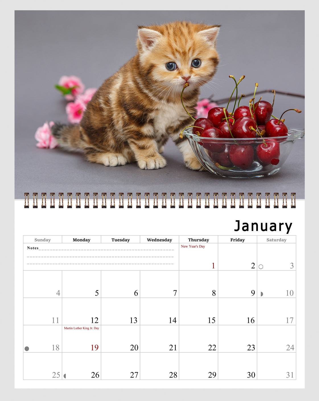 2026 Spiral-bound Wall Calendar (Kittens) - 12 Months Desktop/Wall Calendar/Planner