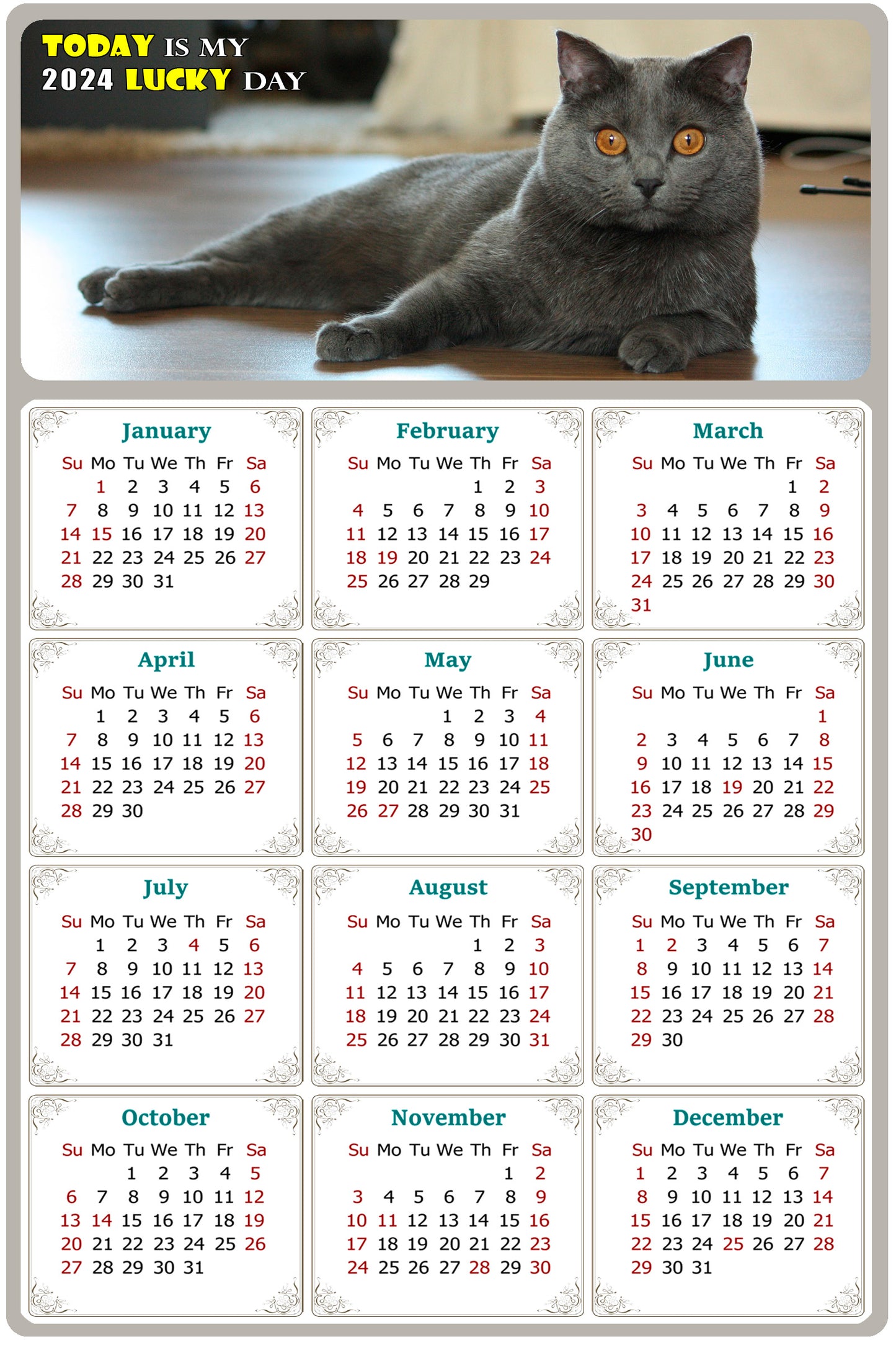 2024 Magnetic Calendar - Today is My Lucky Day (Fade, Tear, and Water Resistant)- Cat Themed 014