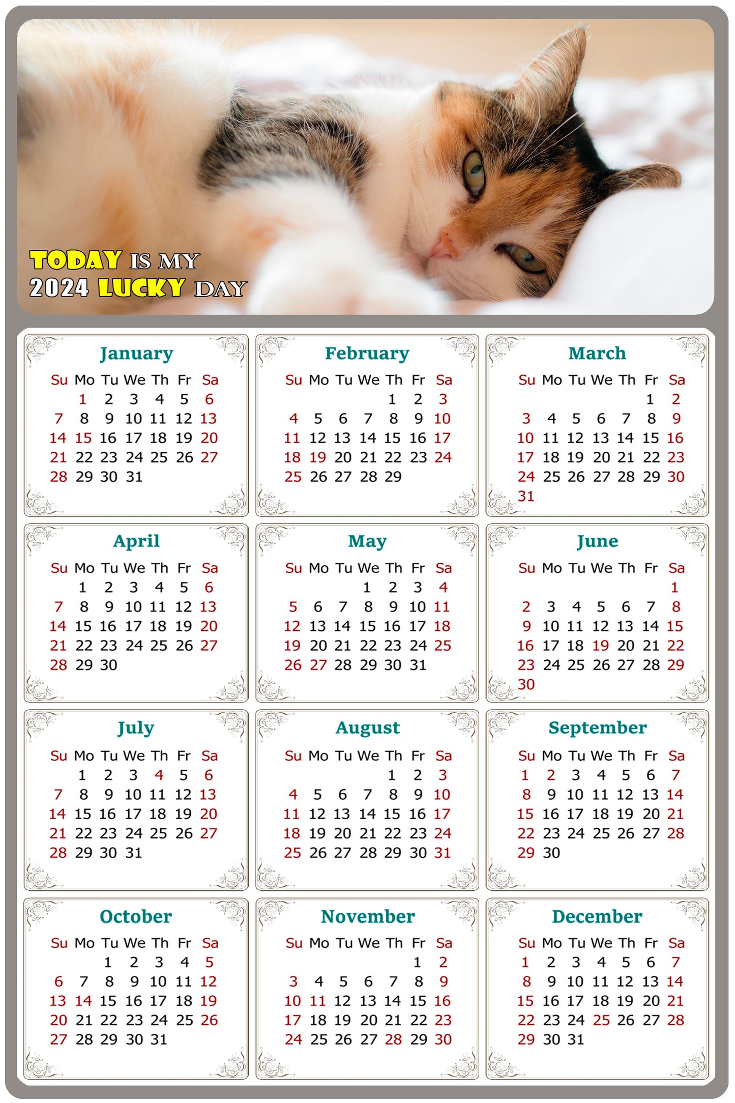 2024 Magnetic Calendar - Today is My Lucky Day (Fade, Tear, and Water Resistant)- Cat Themed 04