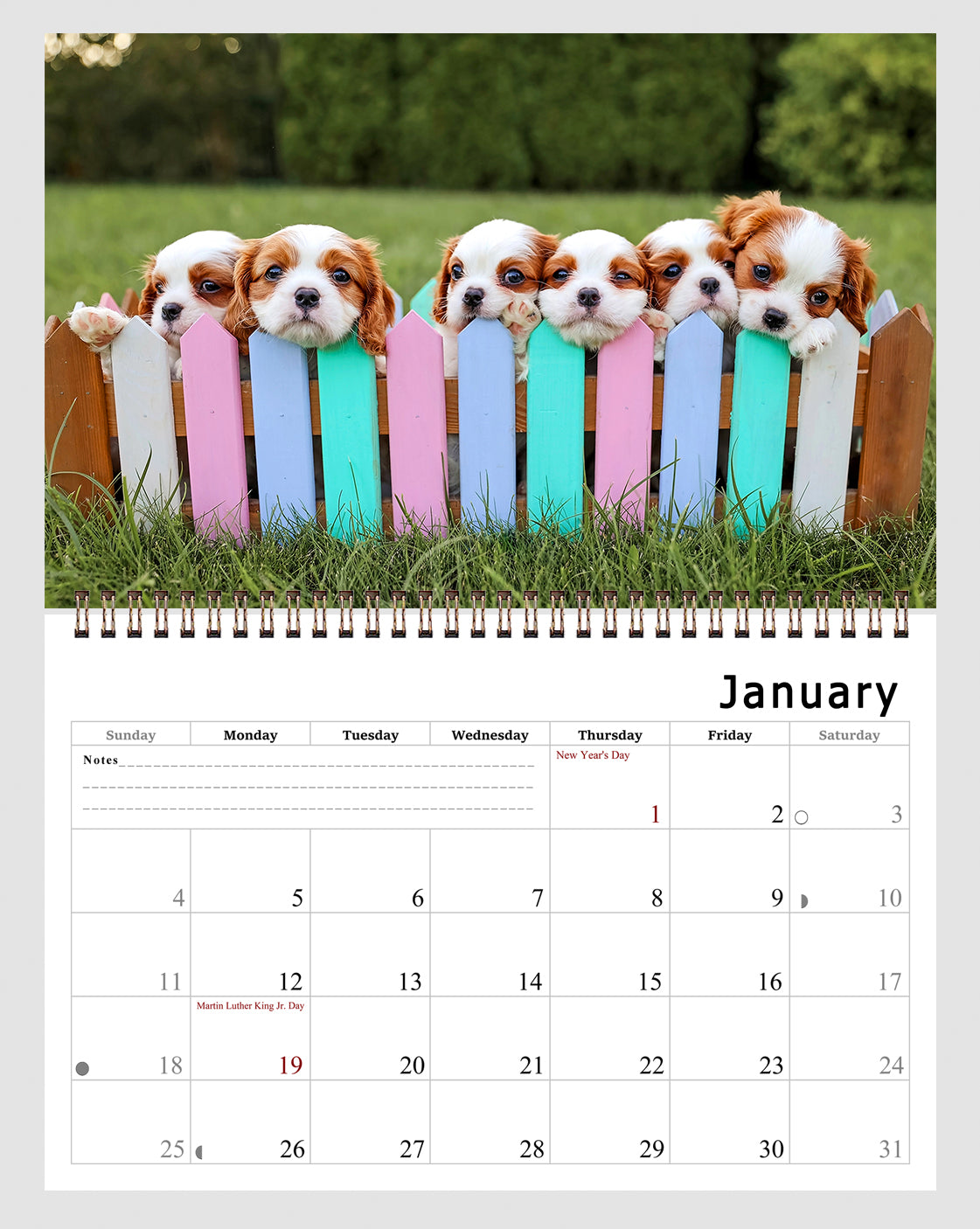 2026 Spiral-bound Wall Calendar (Puppies) - 12 Months Desktop/Wall Calendar/Planner