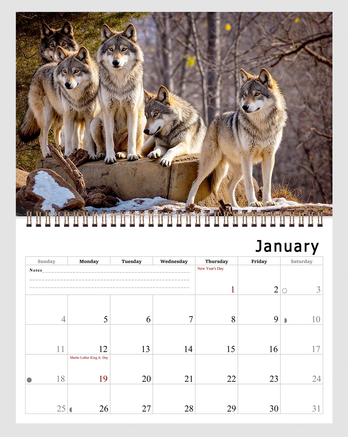 2026 Spiral-bound Wall Calendar (Wolves) - 12 Months Desktop/Wall Calendar/Planner