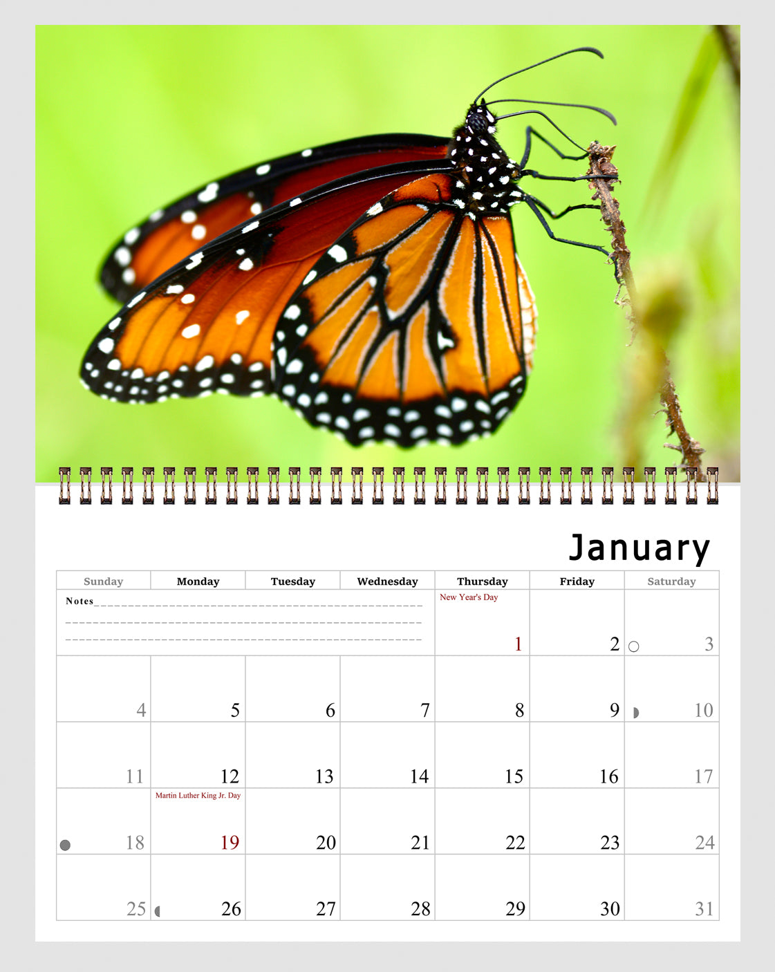 2026 Spiral-bound Wall Calendar (Butterflyes) - 12 Months Desktop/Wall Calendar/Planner