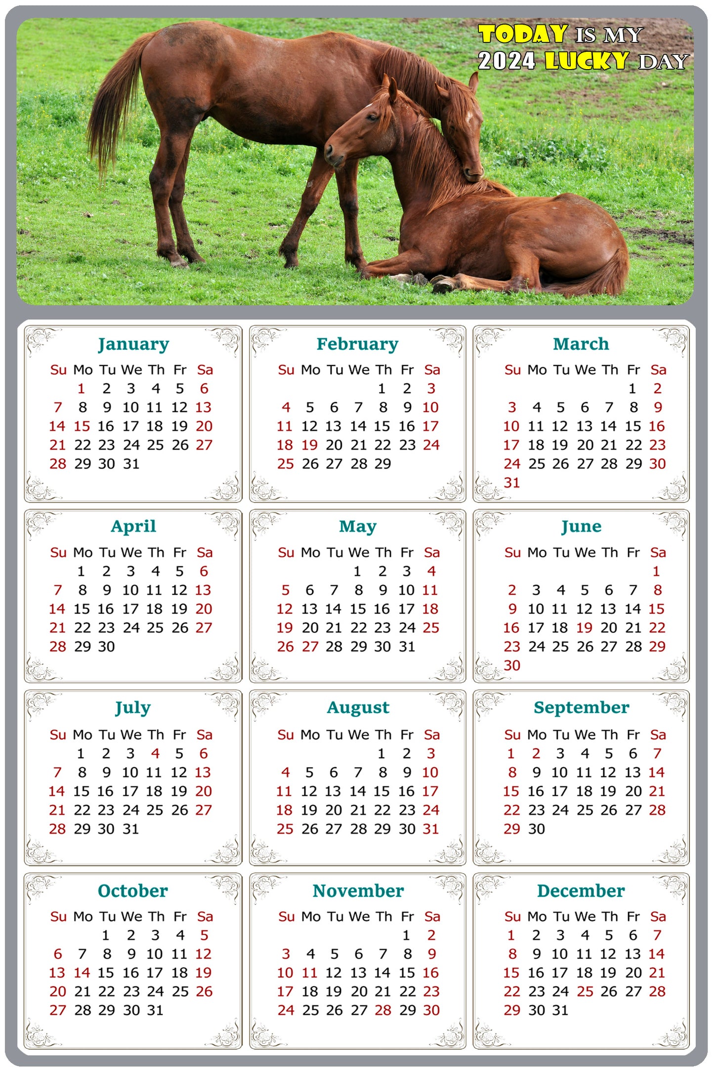 2024 Magnetic Calendar - Calendar Magnets - Today is my Lucky Day - (Fade, Tear, and Water Resistant) - Horses Themed 019