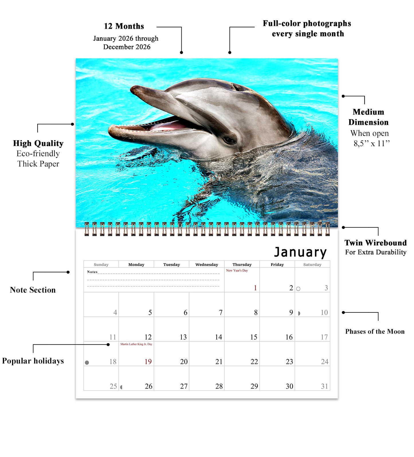 2026 Spiral-bound Wall Calendar (Dolphins) - 12 Months Desktop/Wall Calendar/Planner