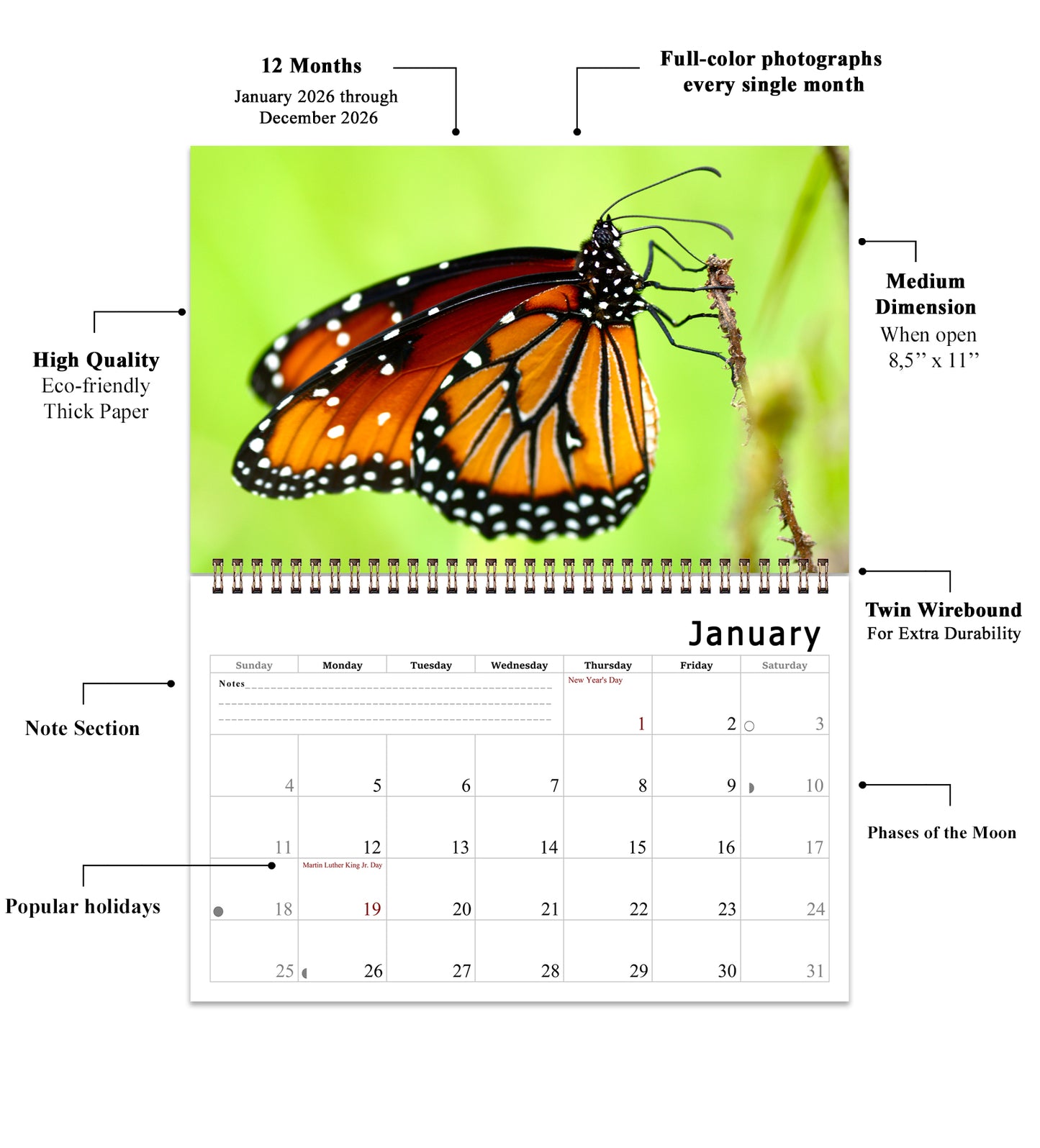 2026 Spiral-bound Wall Calendar (Butterflyes) - 12 Months Desktop/Wall Calendar/Planner