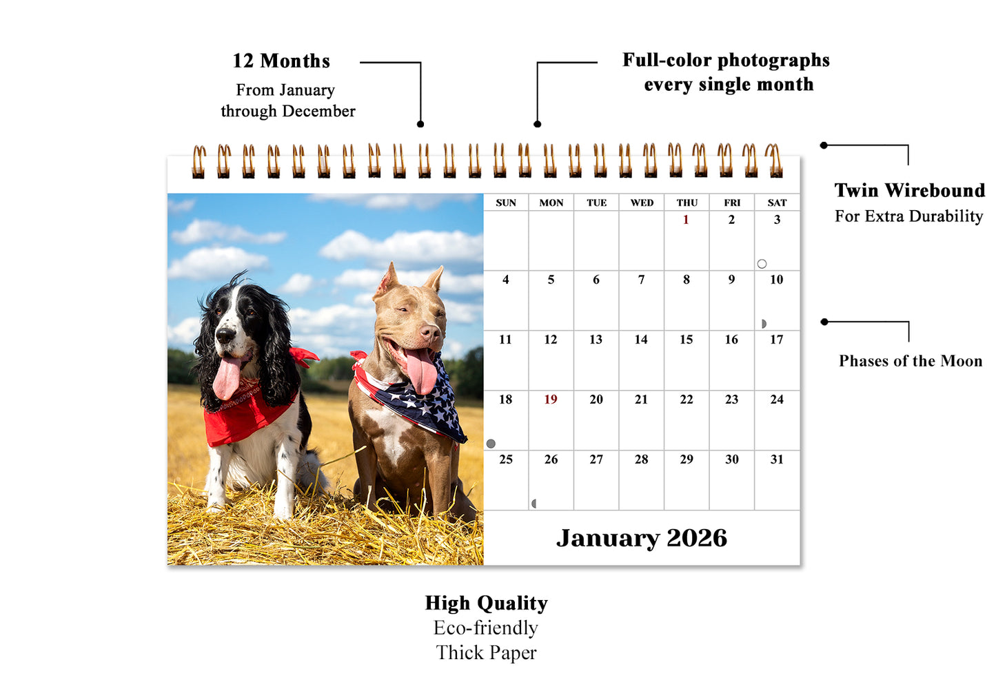 2026-12 Months Desk Calendar Desktop Planner with To-Do List (Dogs)