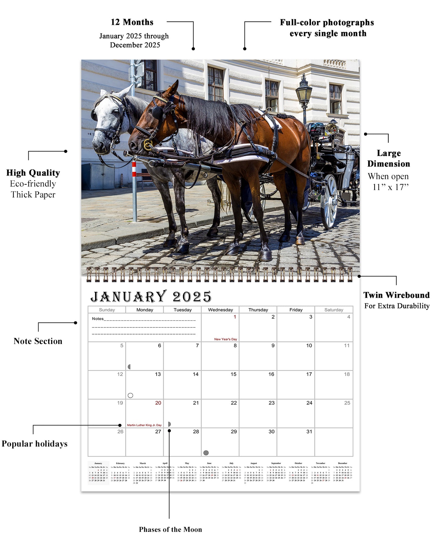 2025 Spiral-bound Wall Calendar (Horses) - 12 Months Desktop/Wall Calendar/Planner