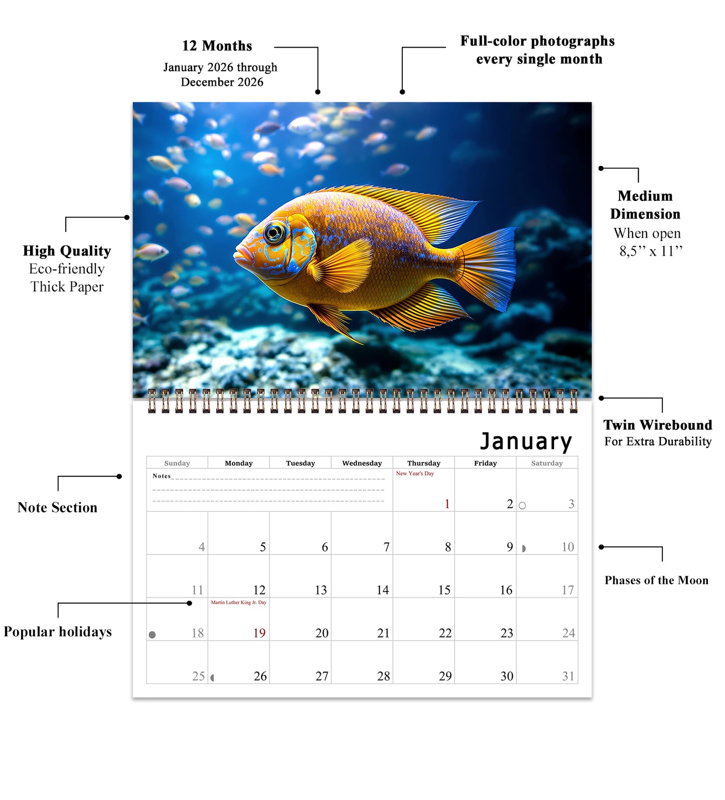 2026 Spiral-bound Wall Calendar (Tropical Fishes) - 12 Months Desktop/Wall Calendar/Planner