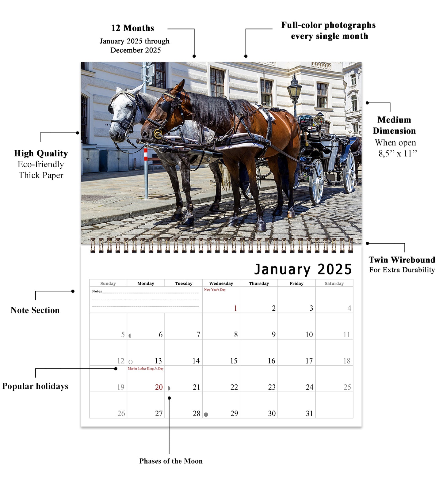 2025 Spiral-bound Wall Calendar (Horses) - 12 Months Desktop/Wall Calendar/Planner