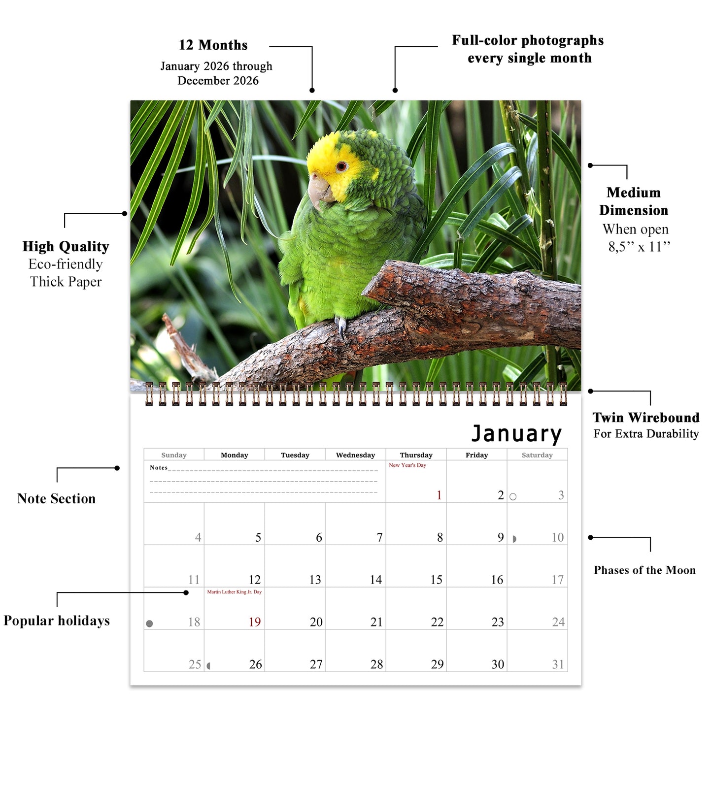 2026 Spiral-bound Wall Calendar (Exotic Birds) - 12 Months Desktop/Wall Calendar/Planner