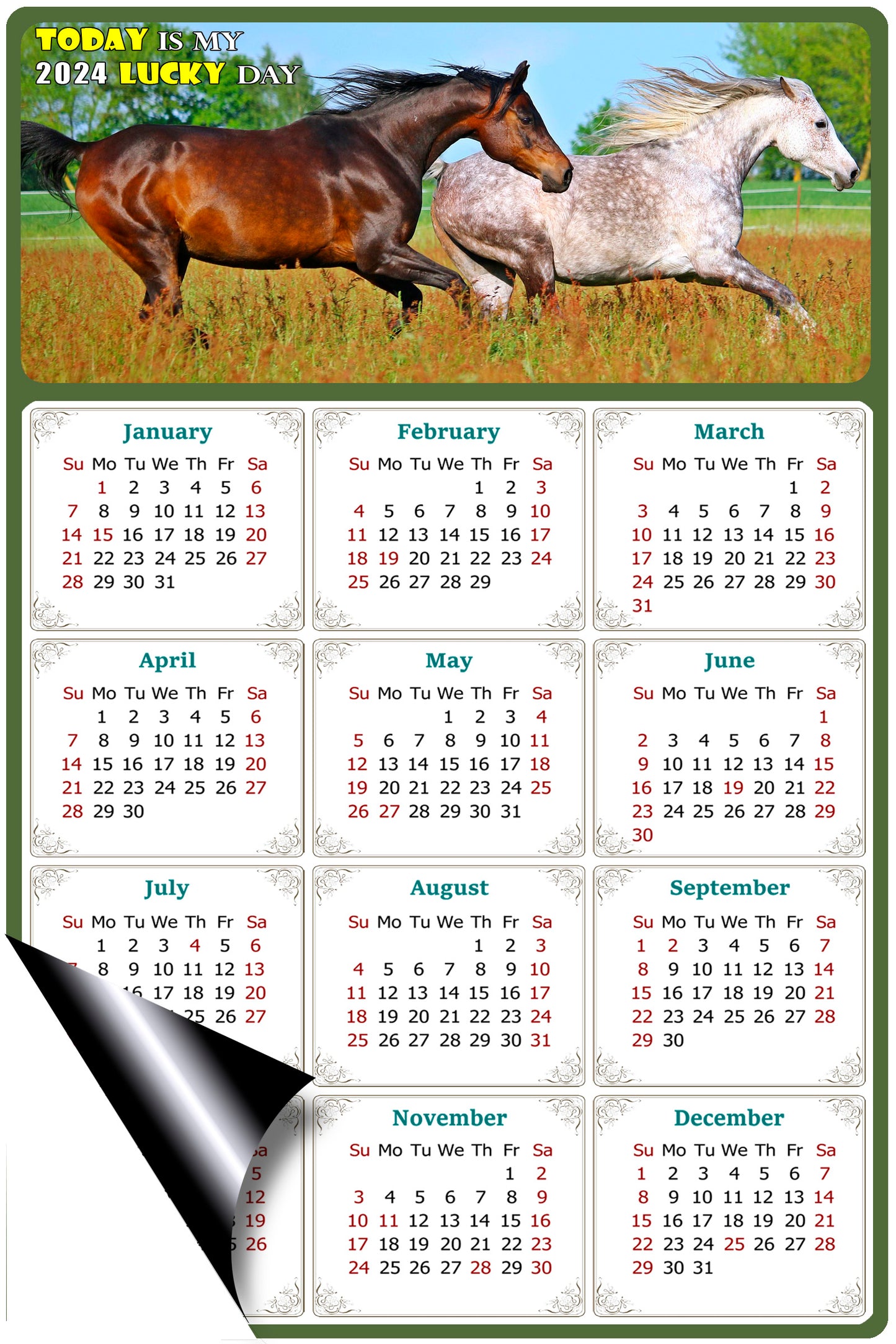 2024 Magnetic Calendar - Calendar Magnets - Today is my Lucky Day - (Fade, Tear, and Water Resistant) - Horses Themed 03