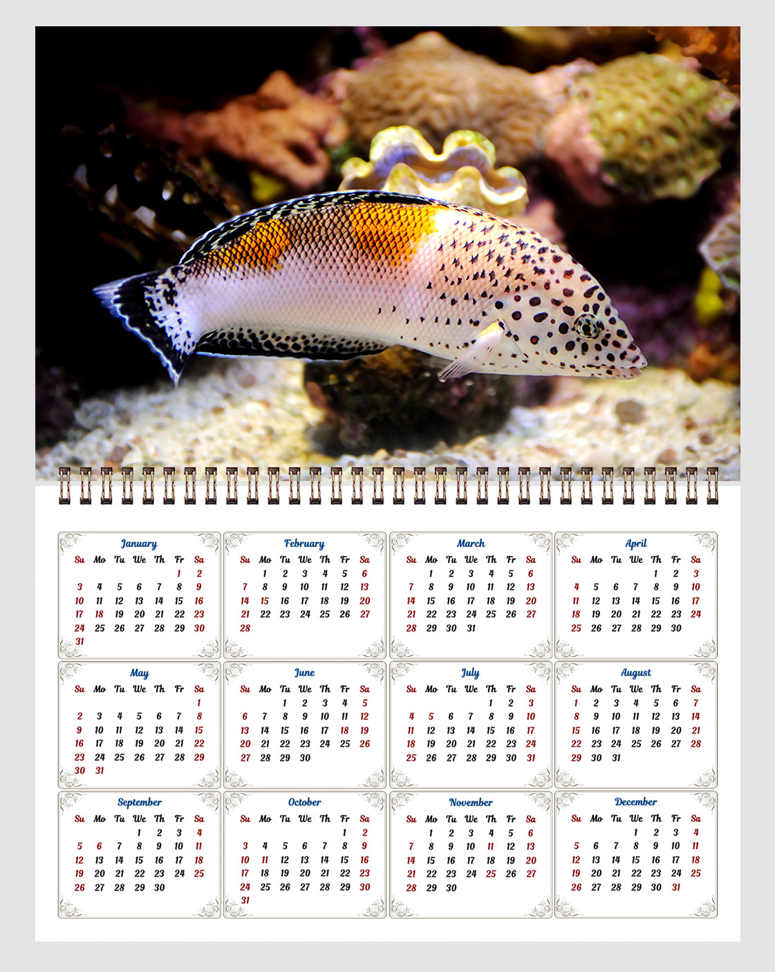 2026 Spiral-bound Wall Calendar (Tropical Fishes) - 12 Months Desktop/Wall Calendar/Planner