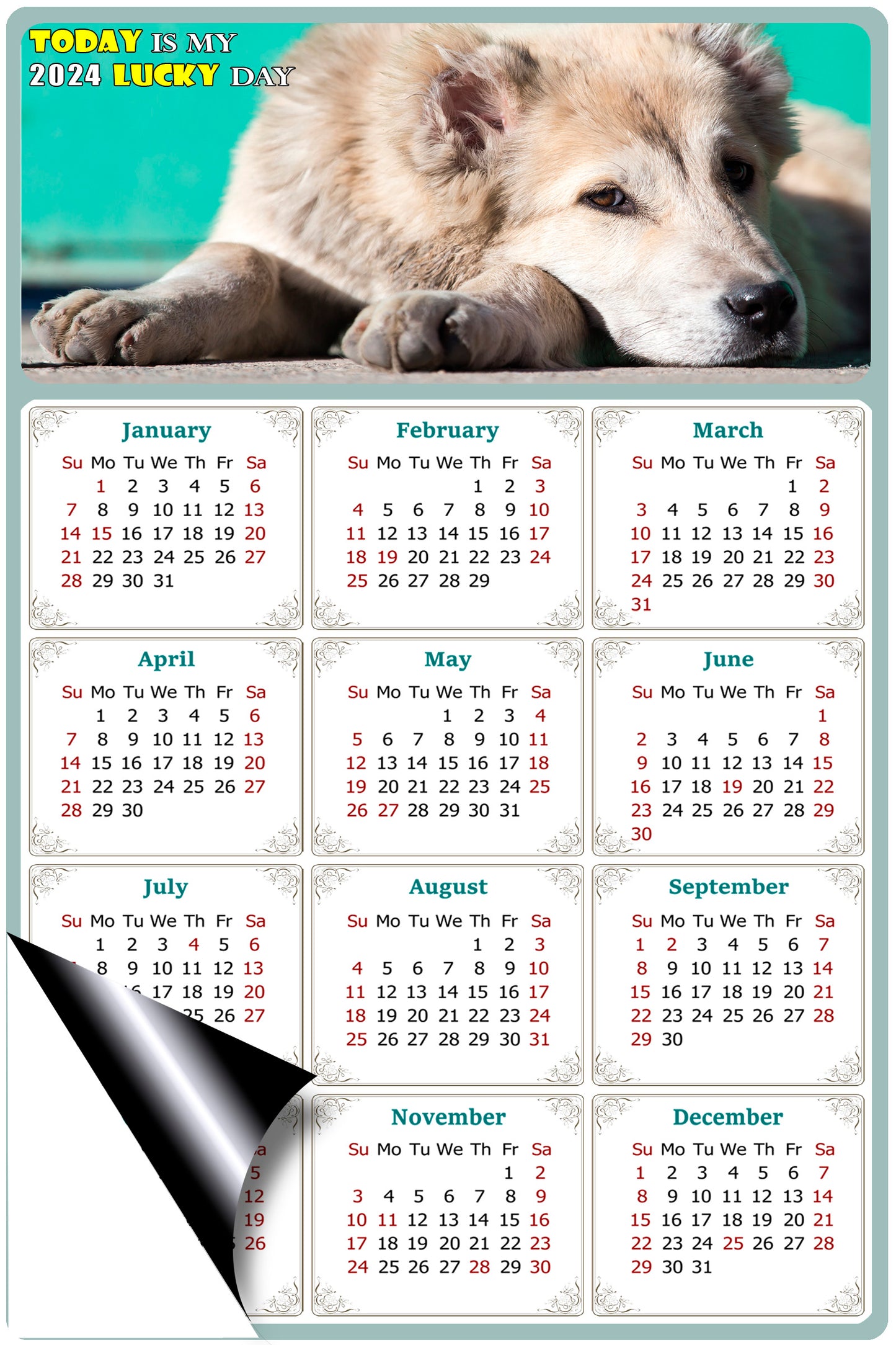 2024 Magnetic Calendar - Today is My Lucky Day (Fade, Tear, and Water Resistant)- Dogs Themed 015