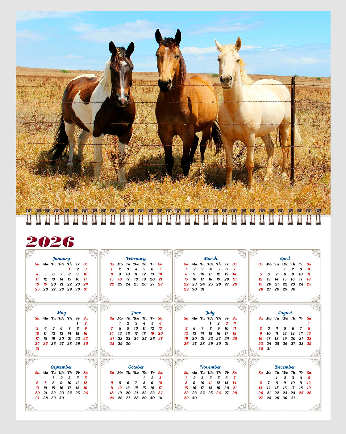 2025 Spiral-bound Wall Calendar (Horses) - 12 Months Desktop/Wall Calendar/Planner