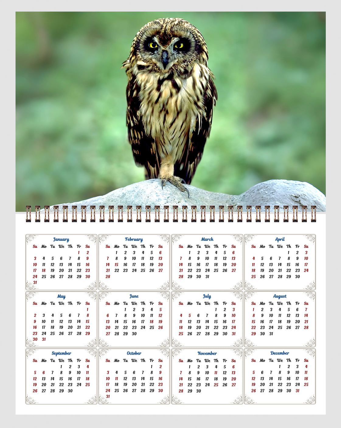 2026 Spiral-bound Wall Calendar (Exotic Birds) - 12 Months Desktop/Wall Calendar/Planner