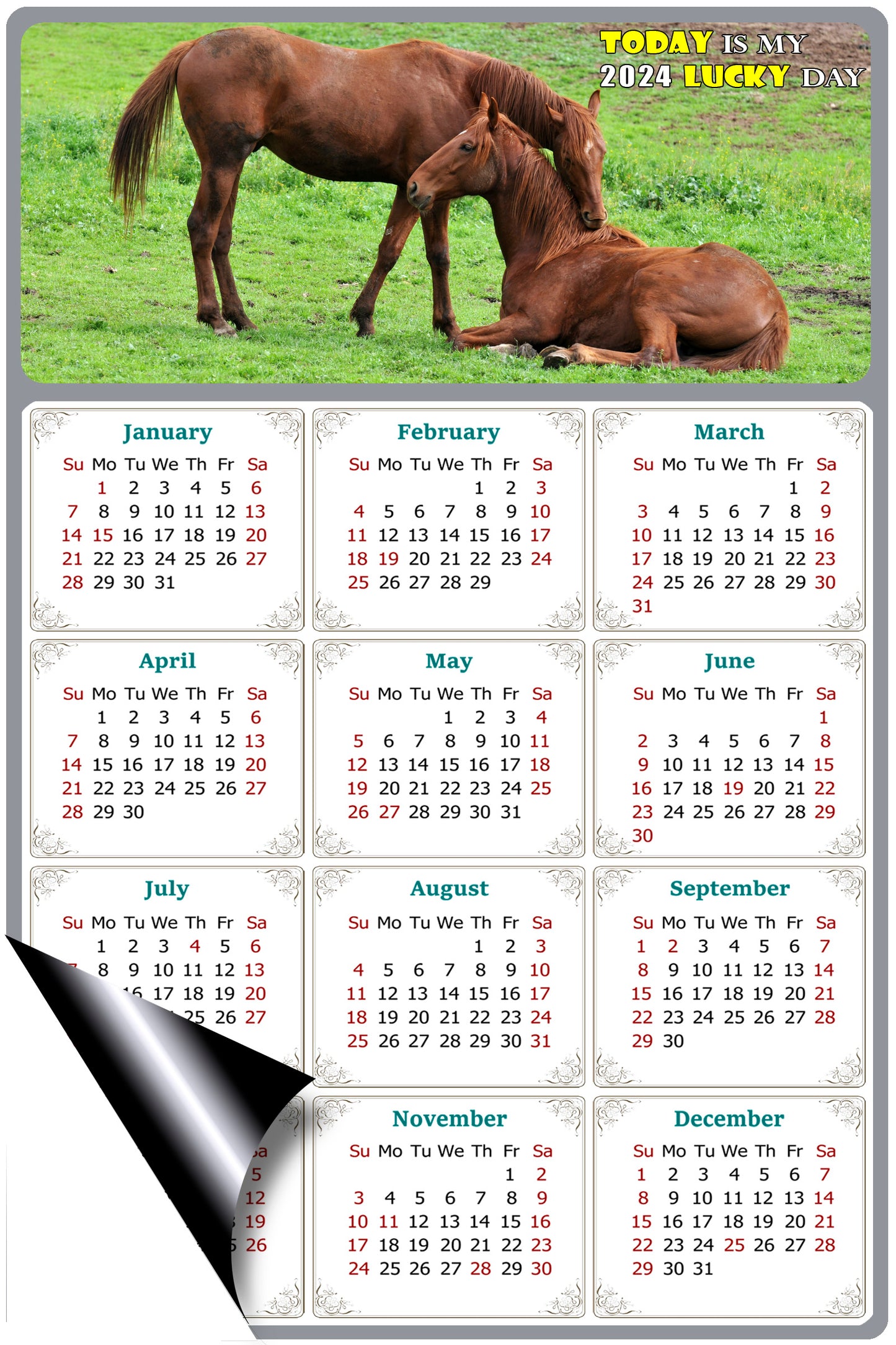 2024 Magnetic Calendar - Calendar Magnets - Today is my Lucky Day - (Fade, Tear, and Water Resistant) - Horses Themed 019