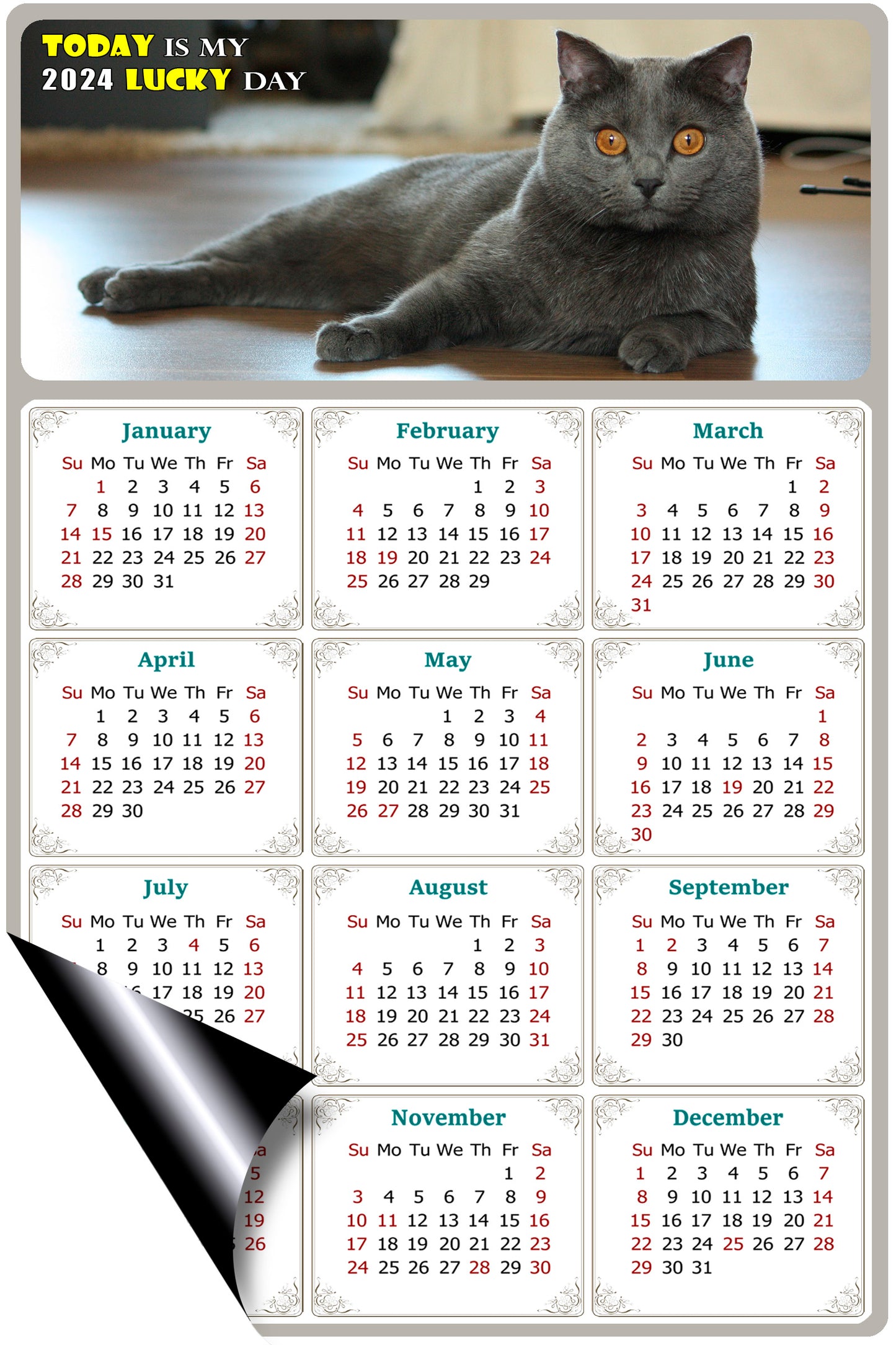 2024 Magnetic Calendar - Today is My Lucky Day (Fade, Tear, and Water Resistant)- Cat Themed 014