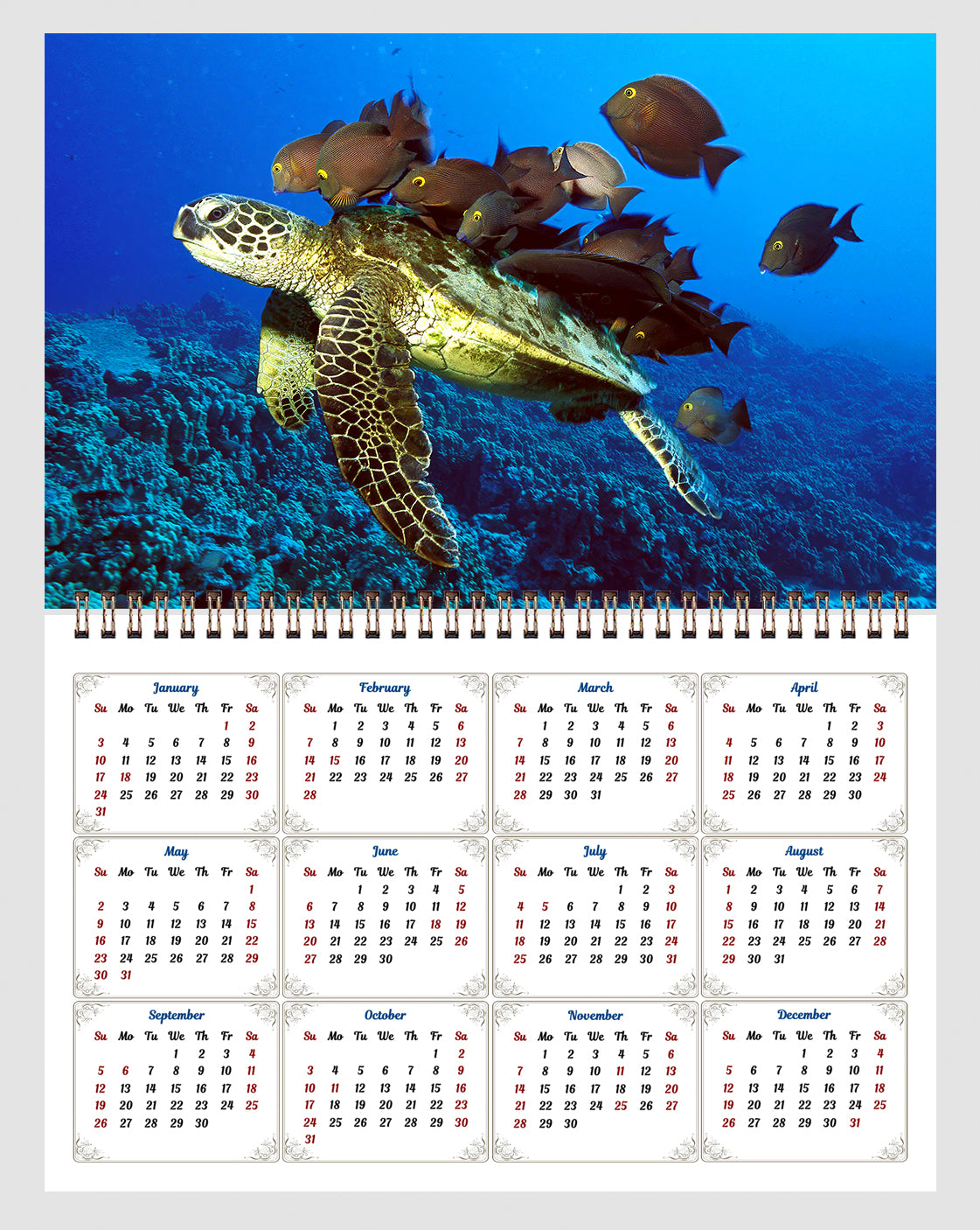 2026 Spiral-bound Wall Calendar (Sea Turtles) - 12 Months Desktop/Wall Calendar/Planner
