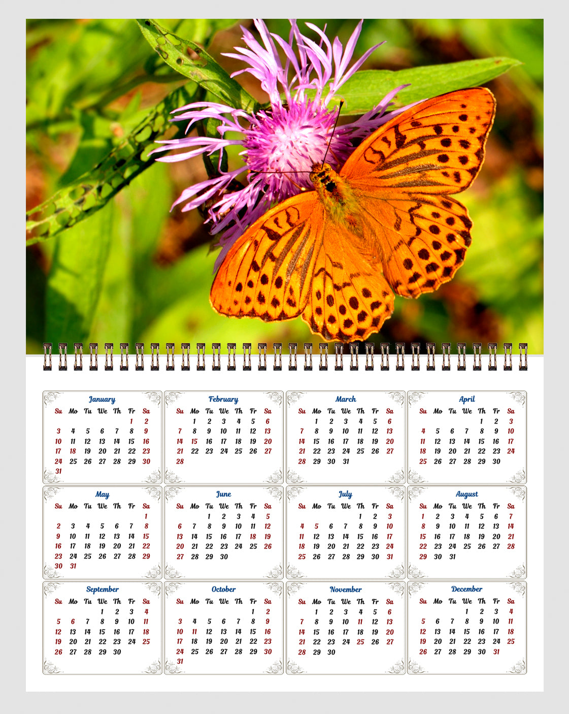 2026 Spiral-bound Wall Calendar (Butterflyes) - 12 Months Desktop/Wall Calendar/Planner