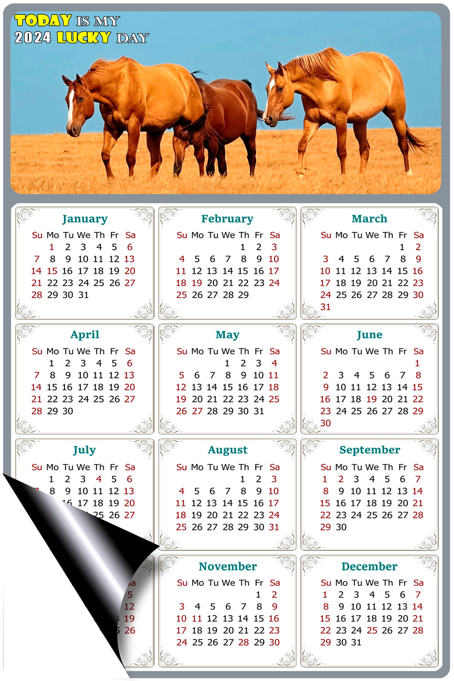 2024 Magnetic Calendar - Calendar Magnets - Today is my Lucky Day - (Fade, Tear, and Water Resistant) - Horses Themed 017