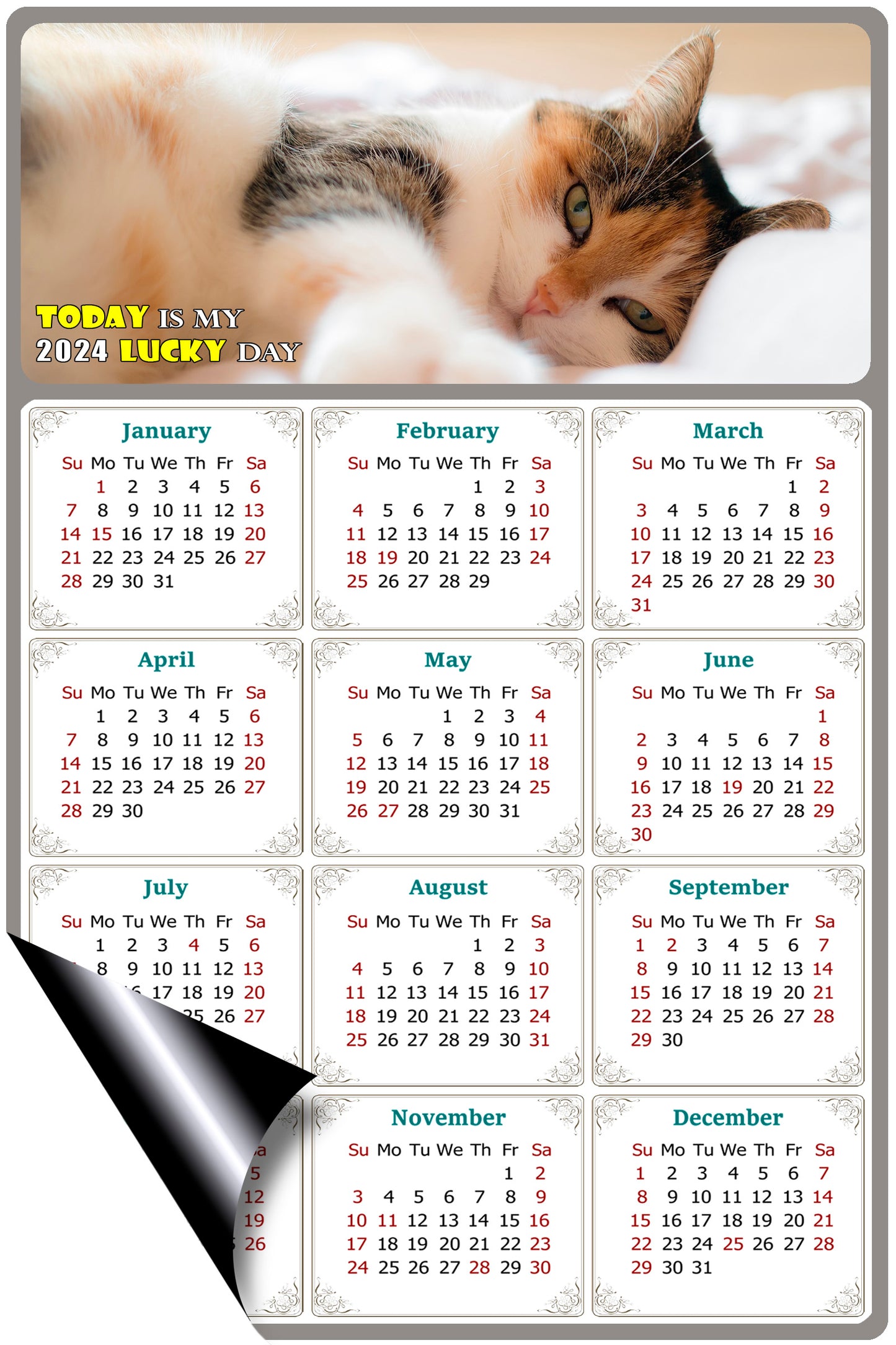 2024 Magnetic Calendar - Today is My Lucky Day (Fade, Tear, and Water Resistant)- Cat Themed 04
