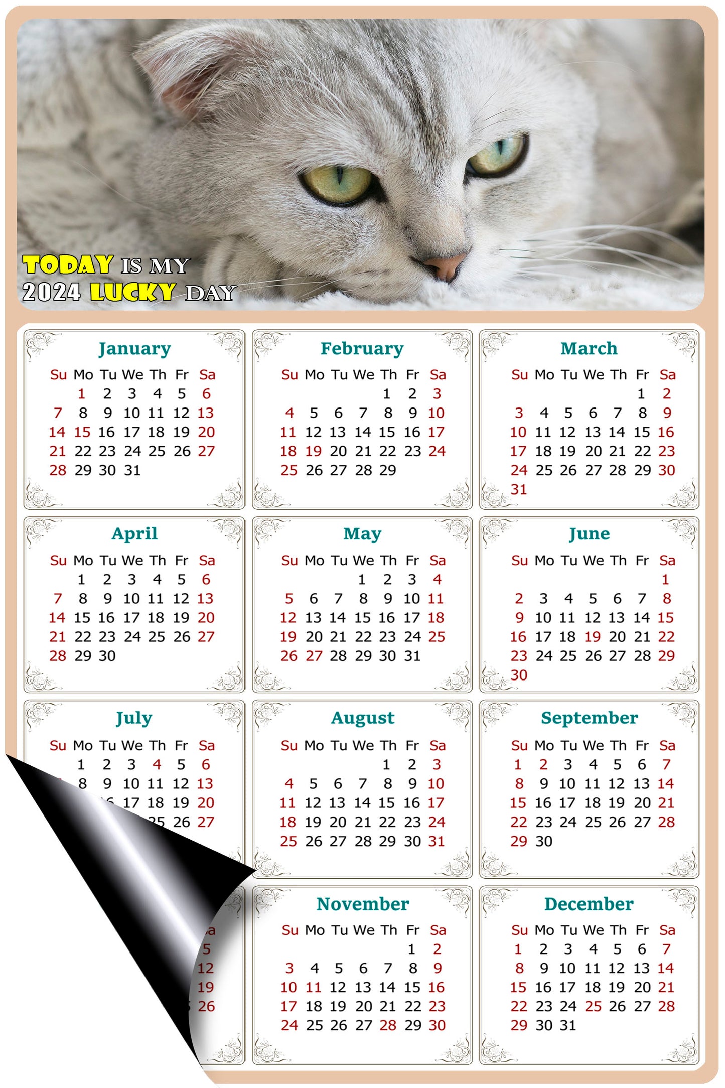 2024 Magnetic Calendar - Today is My Lucky Day (Fade, Tear, and Water Resistant)- Cat Themed 01