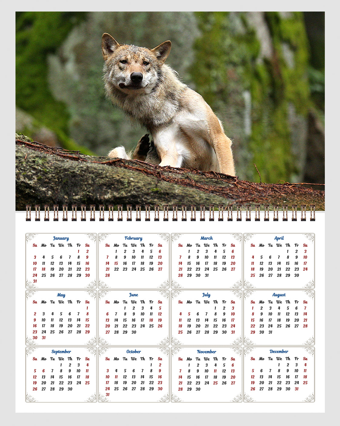 2026 Spiral-bound Wall Calendar (Wolves) - 12 Months Desktop/Wall Calendar/Planner
