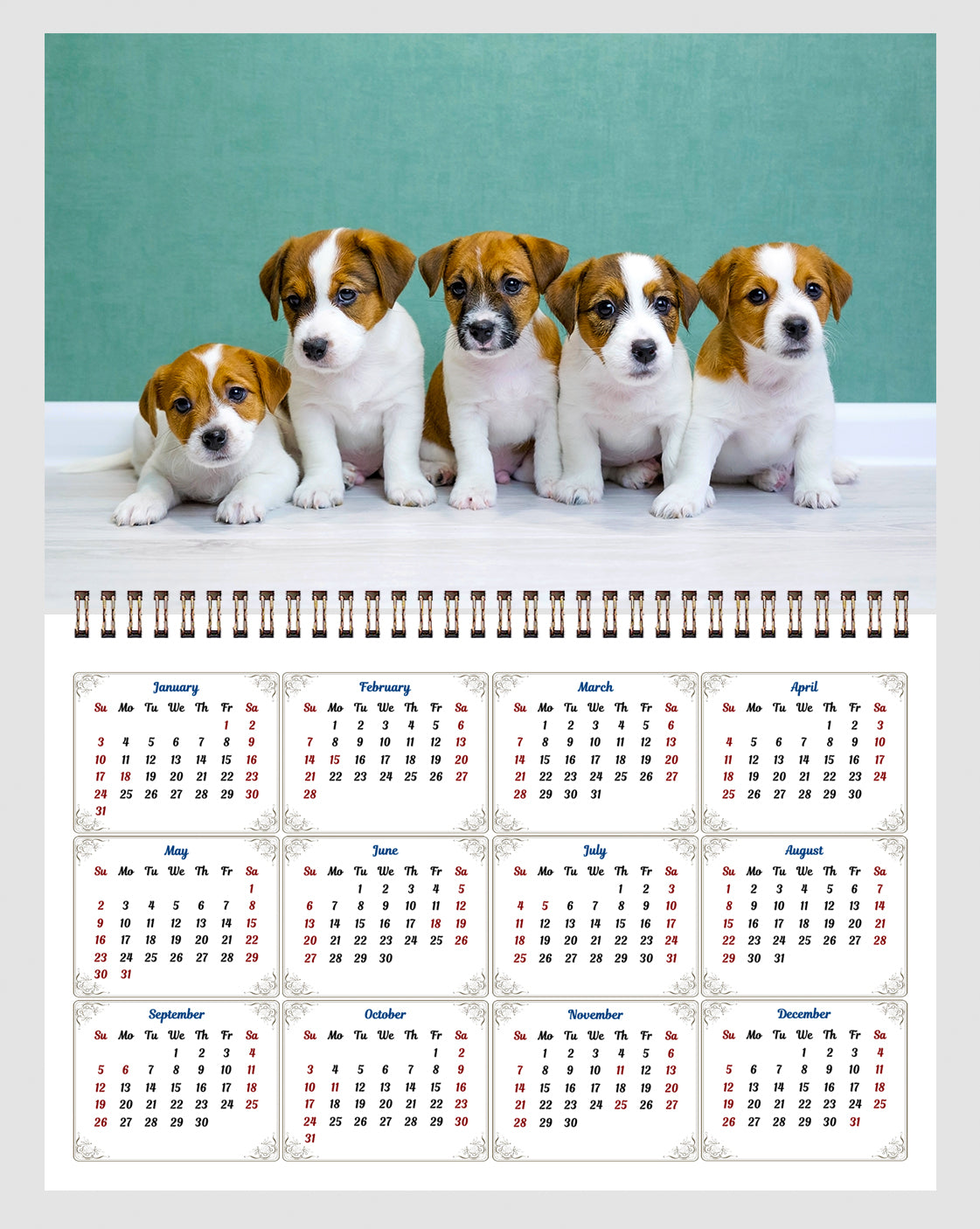 2026 Spiral-bound Wall Calendar (Puppies) - 12 Months Desktop/Wall Calendar/Planner