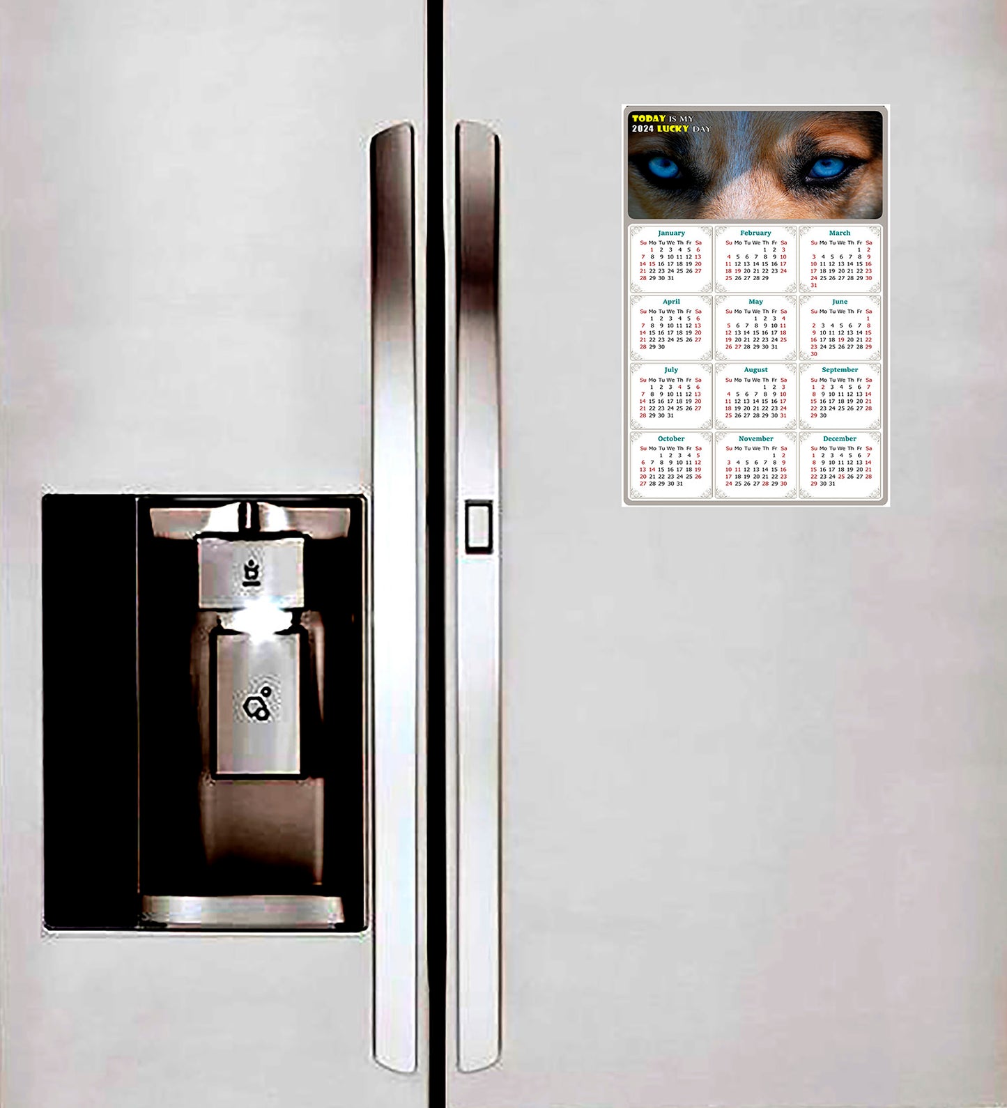 2024 Magnetic Calendar - Today is My Lucky Day (Fade, Tear, and Water Resistant)- Dogs Themed 03