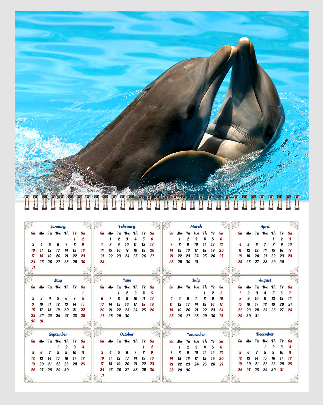 2026 Spiral-bound Wall Calendar (Dolphins) - 12 Months Desktop/Wall Calendar/Planner