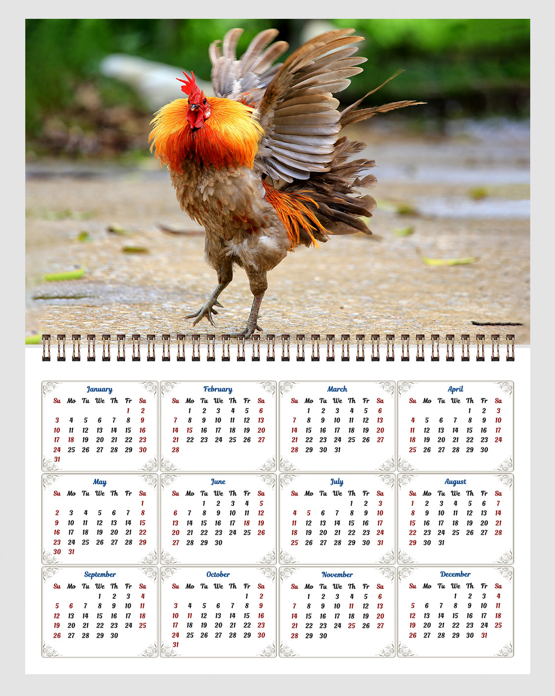 2026 Spiral-bound Wall Calendar (Roosters) - 12 Months Desktop/Wall Calendar/Planner
