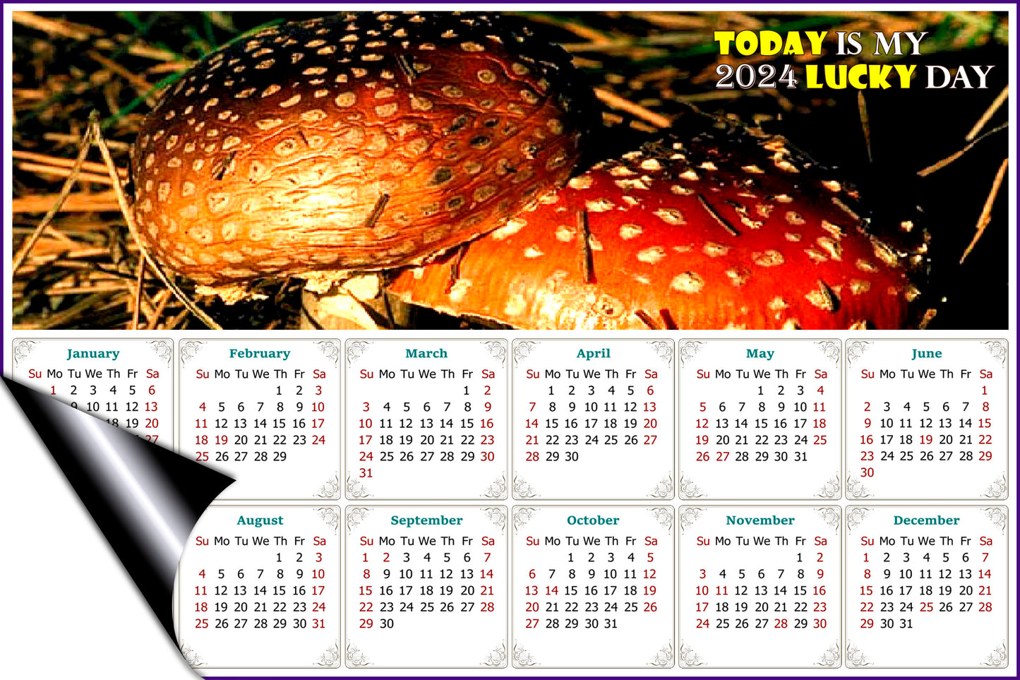 2024 Magnetic Calendar - Calendar Magnets - Today is my Lucky Day - Edition #38