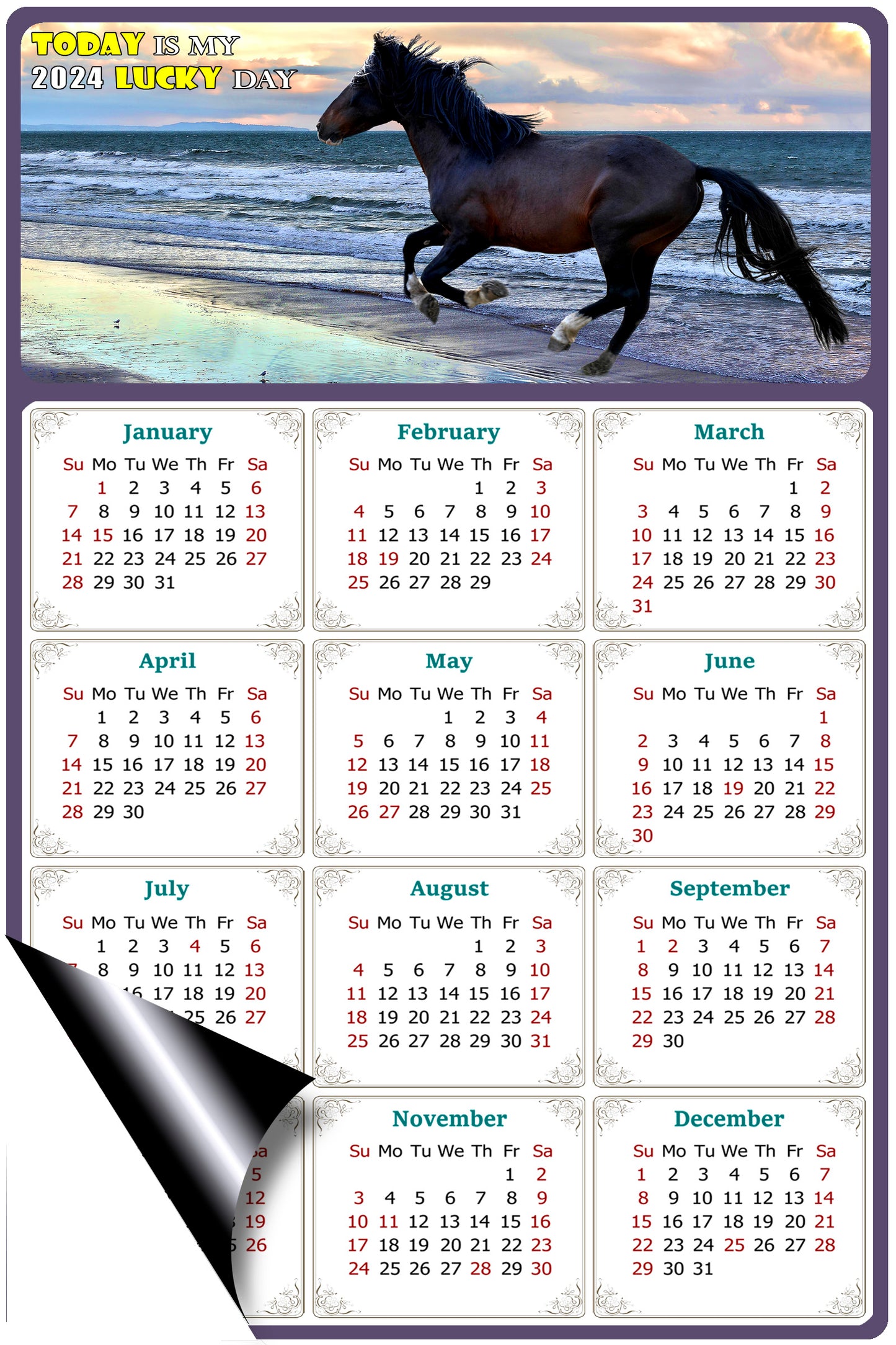 2024 Magnetic Calendar - Calendar Magnets - Today is my Lucky Day - (Fade, Tear, and Water Resistant) - Horses Themed 015