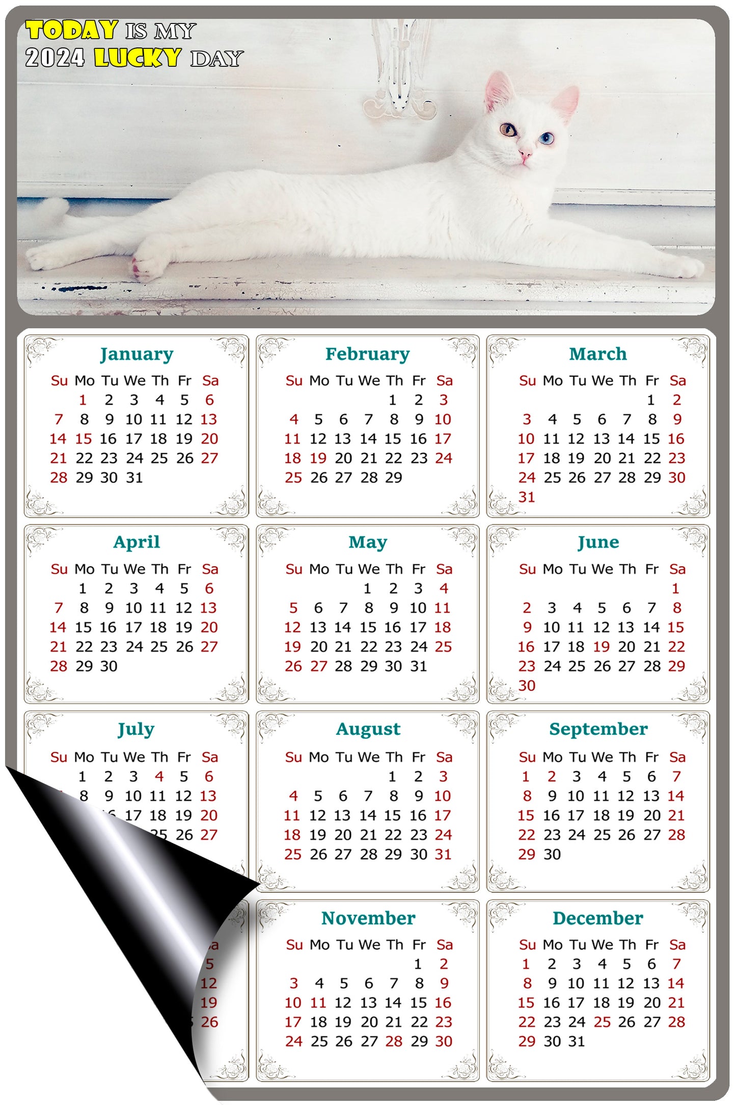 2024 Magnetic Calendar - Today is My Lucky Day (Fade, Tear, and Water Resistant)- Cat Themed 06