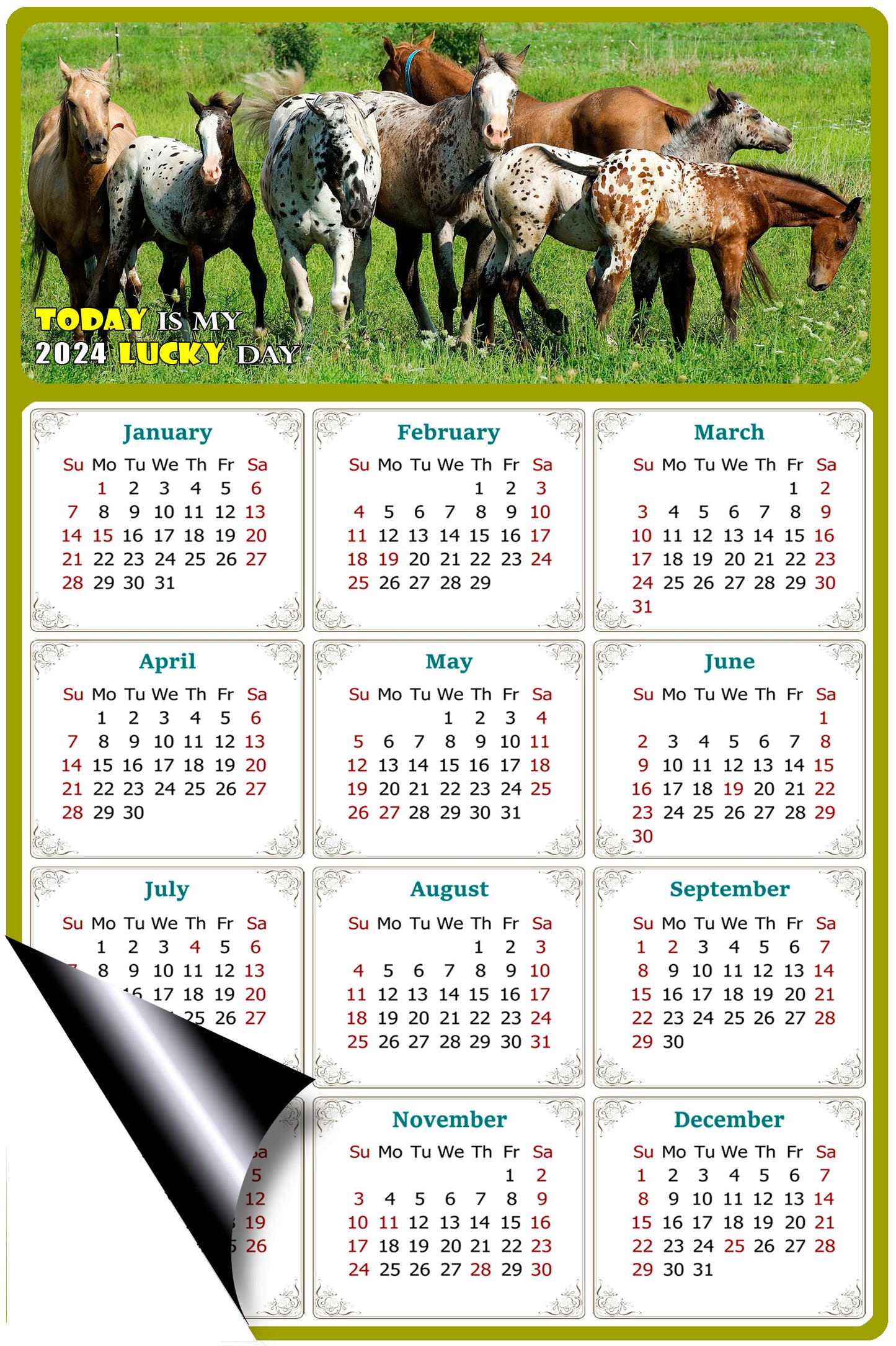 2024 Magnetic Calendar - Calendar Magnets - Today is my Lucky Day - (Fade, Tear, and Water Resistant) - Horses Themed 02