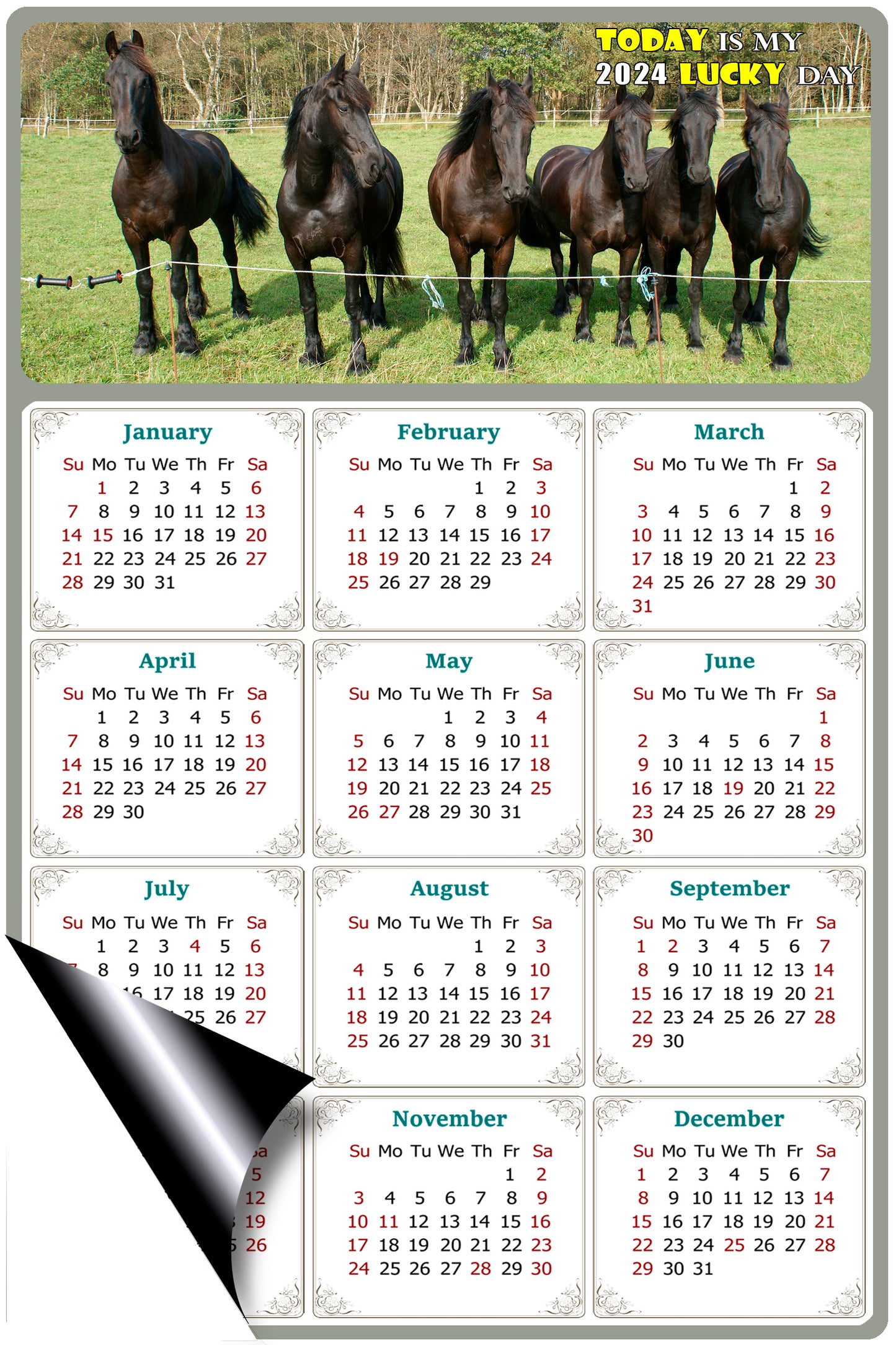 2024 Magnetic Calendar - Calendar Magnets - Today is my Lucky Day - (Fade, Tear, and Water Resistant) - Horses Themed 06